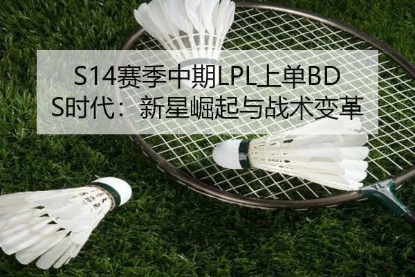 S14赛季中期LPL上单BDS时代：新星崛起与战术变革